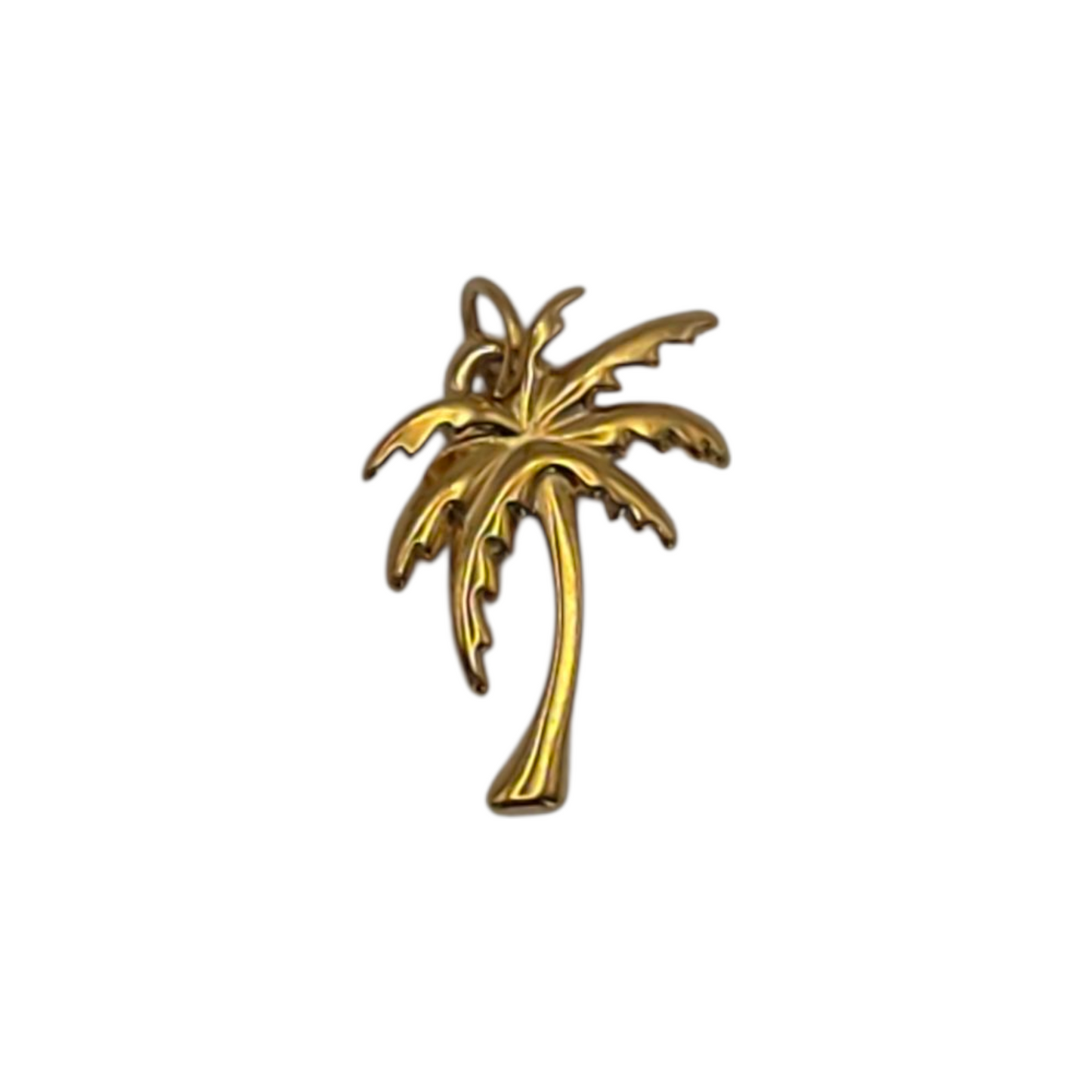 Palm Tree