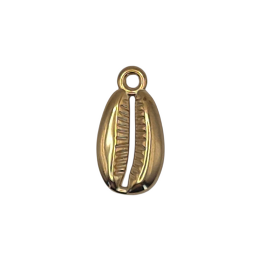 Cowrie Shell