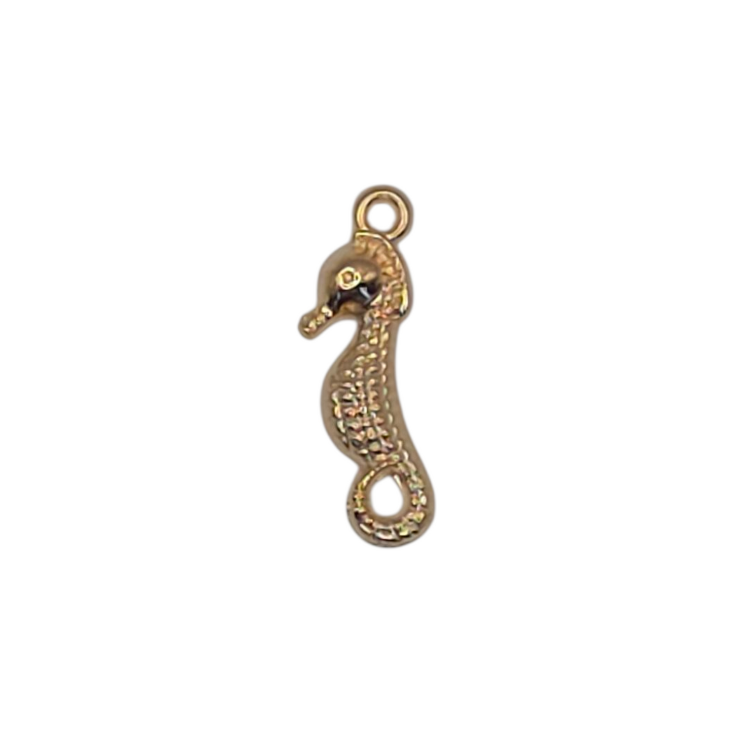 Seahorse
