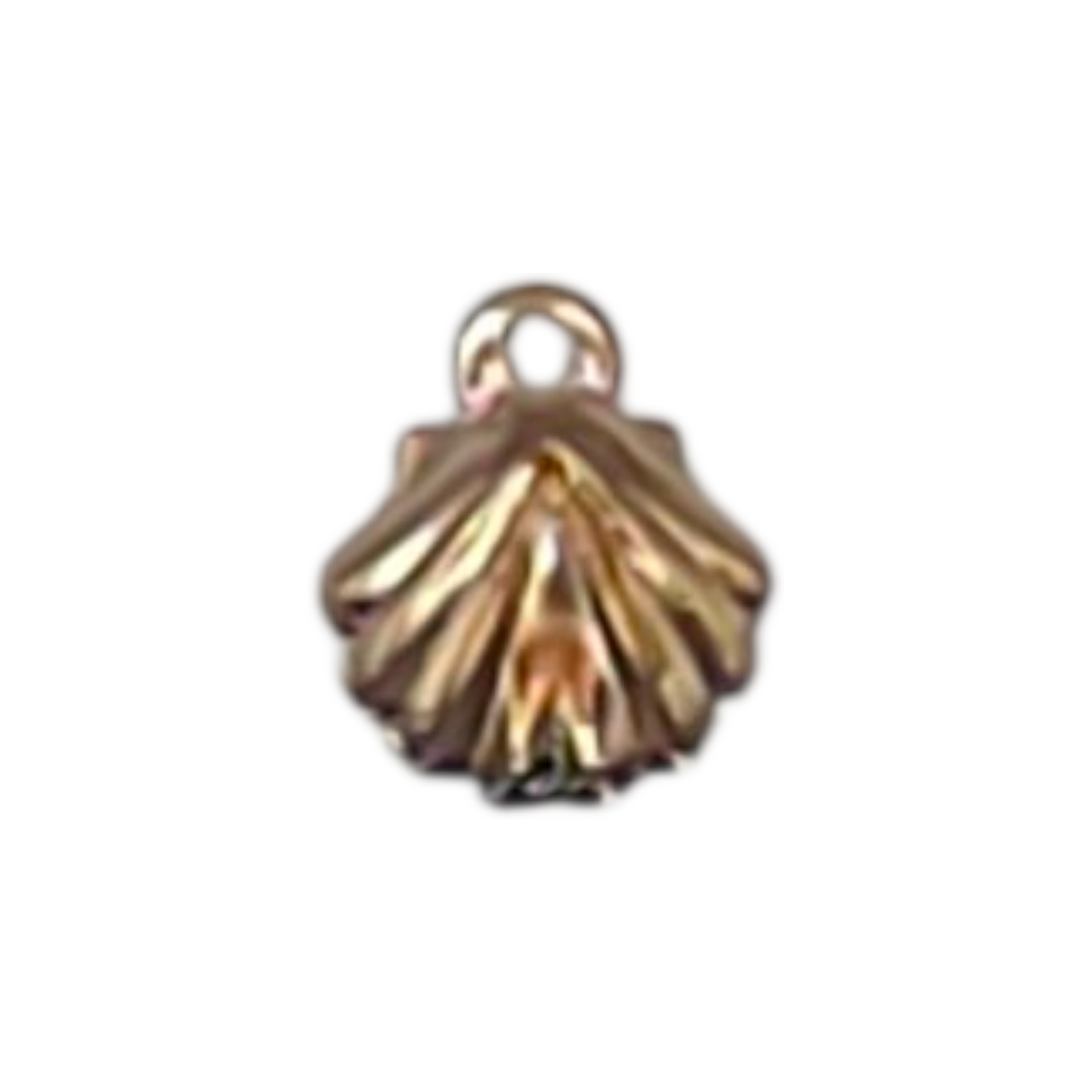 Shell