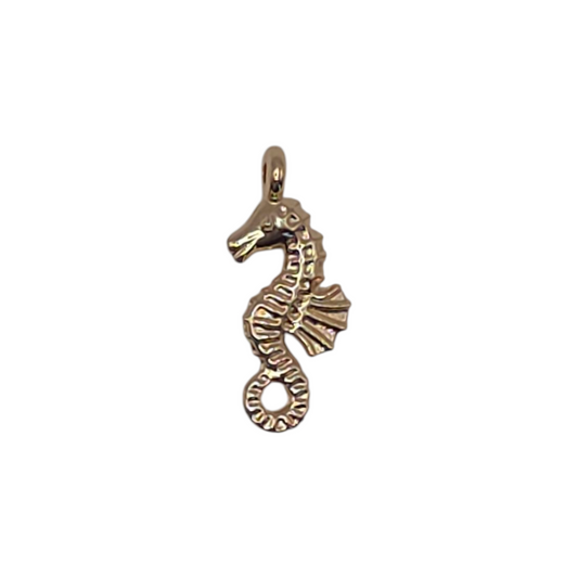 Seahorse