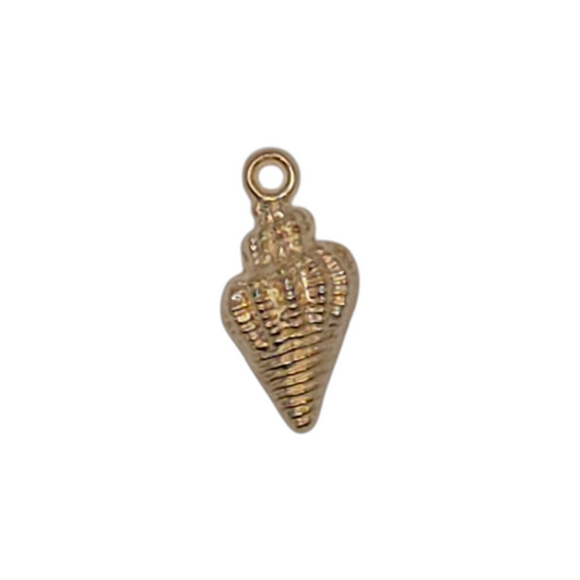 Conch Shell