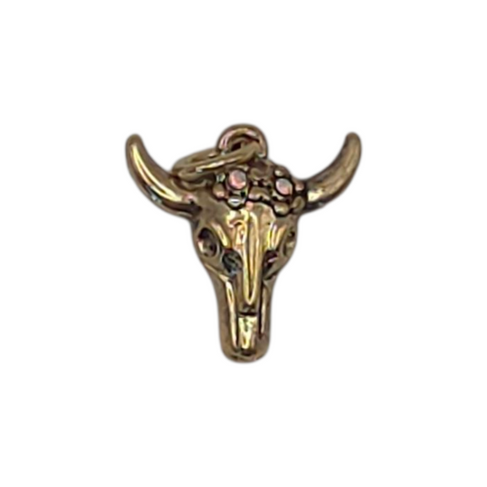 Longhorn Skull